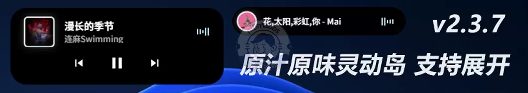 NetSpeed Dynamic Pro —— 专为 Windows 而生的灵动岛