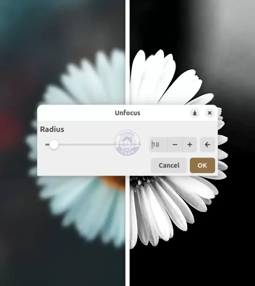 一款介于画图和 Photoshop 之间的免费绘图软件，简单好用还跨平台