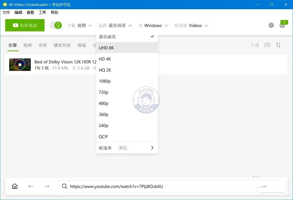 4K Video Downloader+ v26.2.1高清4K视频下载器
